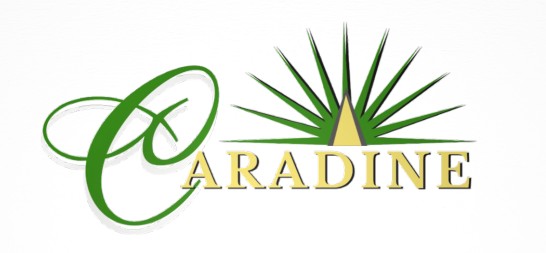 Caradine Realty logo